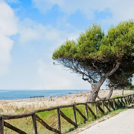 Relaxing Sea View Near The Promenade 公寓 *